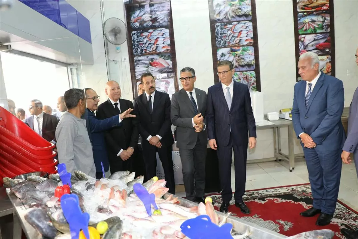فروع جديدة من كاري أون