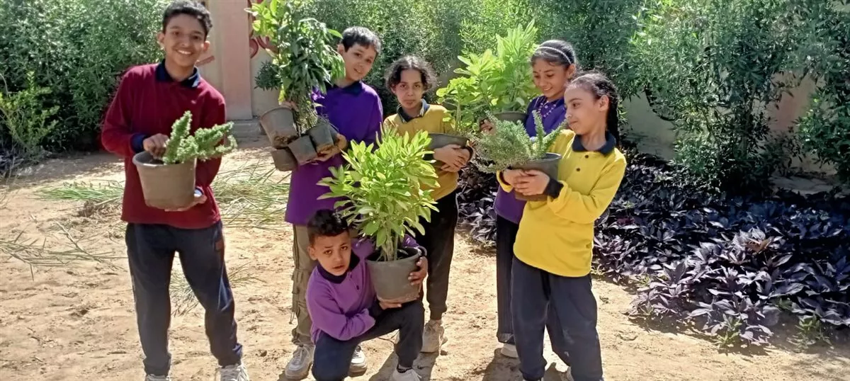 اتحضر للاخضر بالجيزة