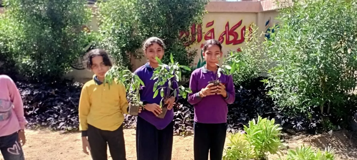 اتحضر للاخضر بالجيزة