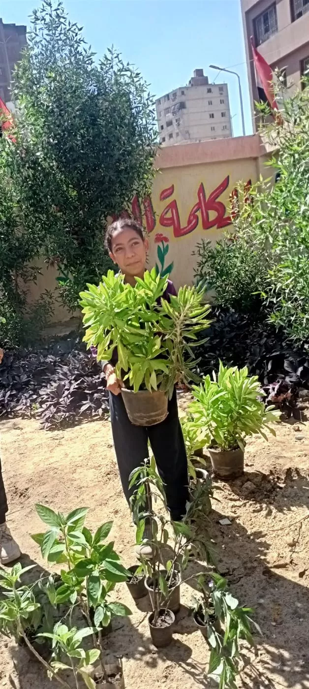 اتحضر للاخضر بالجيزة