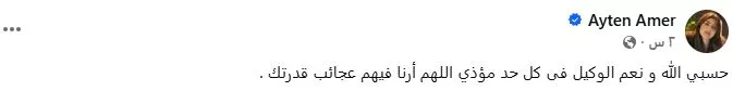 منشور أيتن عامر