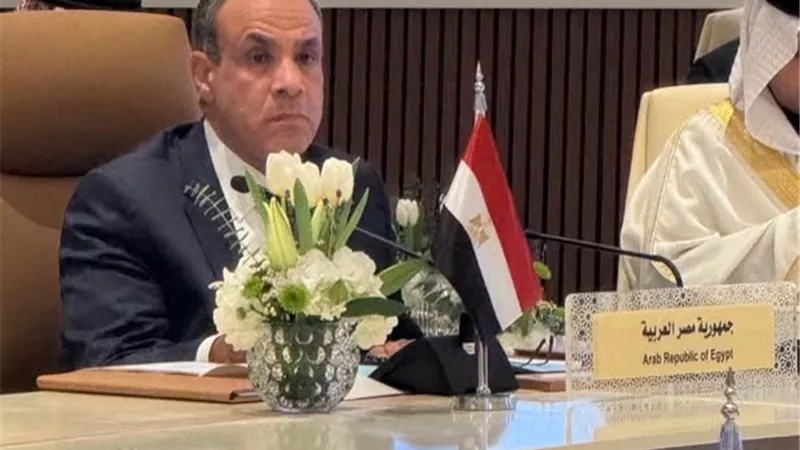 مصر تحذر من تحول سوريا إلى مركز للجماعات الإرهابية 