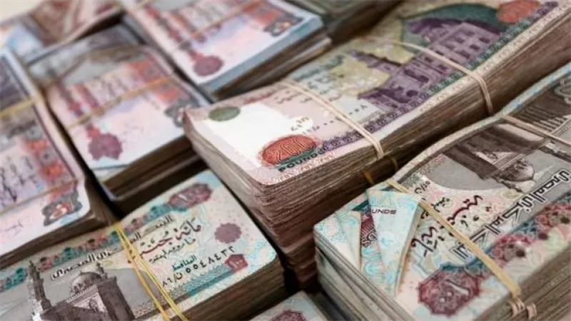 خبير اقتصادي يقترح تغيير شكل العملة لحل 5 أزمات اقتصادية هيكلي