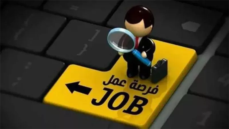 وزارة التموين تعلن فتح باب التقديم للوظائف القيادية 2026.. تعرف على التفاصيل