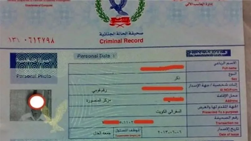 من المنزل.. خطوات استخراج فيش وتشبيه 2025 عبر موقع وزارة الداخلية
