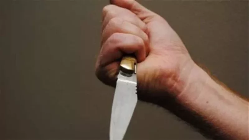 طعنات وشك في سلوكها.. نقاش ينهي حياة نجلته بطريقة بشعة بالجيزة