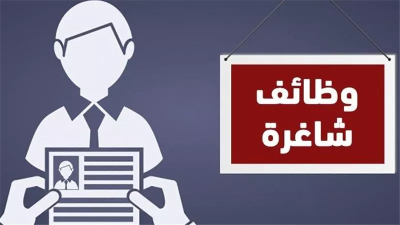 100 فرصة عمل تُوفرها وزارة العمل في الشرقية .. اعرف الشروط