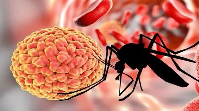  لدغة بعوضة تتسبب في فيروس جديد يصيب الجلد ويسبب التهاب النخاع 