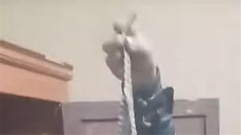 صياد يعثر علي تمساح بالشرقية.. مسئول بالري:  لا يوجد ما يهدد حياة المواطنين