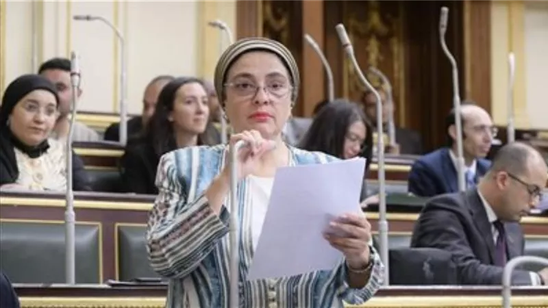 سميرة الجزار: استضافة مصر القمة العربية الطارئة صفعة على وجه الكيان الصهيونى