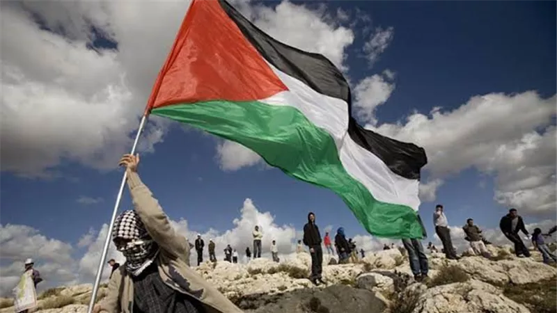 أستاذ علوم سياسة: مصر حمت القضية الفلسطينية من الطمس وضياع الهوية