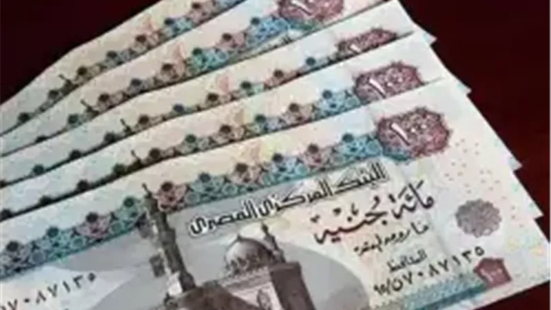 تعليمات حكومية جديدة حول تطبيق الحد الأدنى للأجور للعاملين بالقطاع الخاص