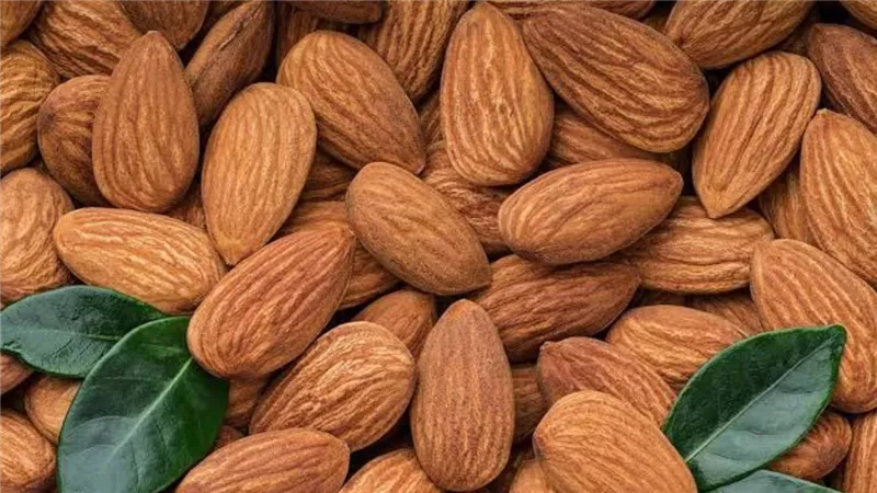 اللوز المقشر أم غير المقشر.. أيهما يجب أن تأكله يوميًا ولماذا؟