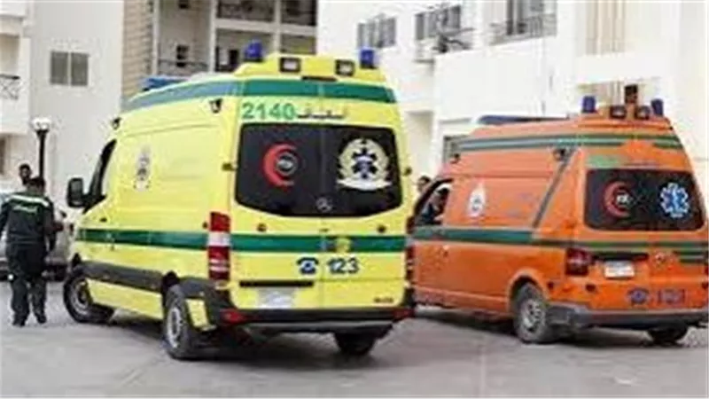 الميراث المشؤوم.. إصابة 3 أشخاص فى مشاجرة أبناء العمومة بسوهاج 