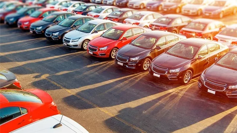 الحبس والغرامة.. تعرف على عقوبة عمل 