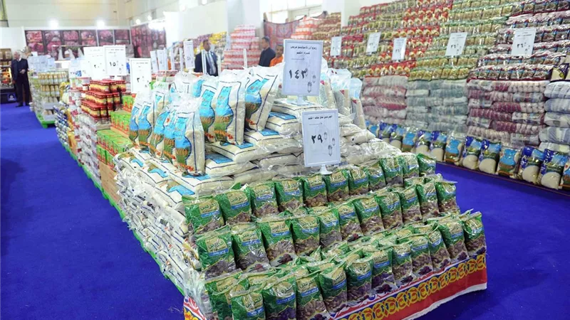 أستاذ اقتصاد: هناك تنسيق بين الوزرات لتوفير السلع للمواطنين طوال العام