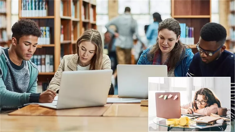 مستشار التعليم العالي: مسابقات الطلاب تستهدف بناء جيل مبتكر وسوق عمل أقوى