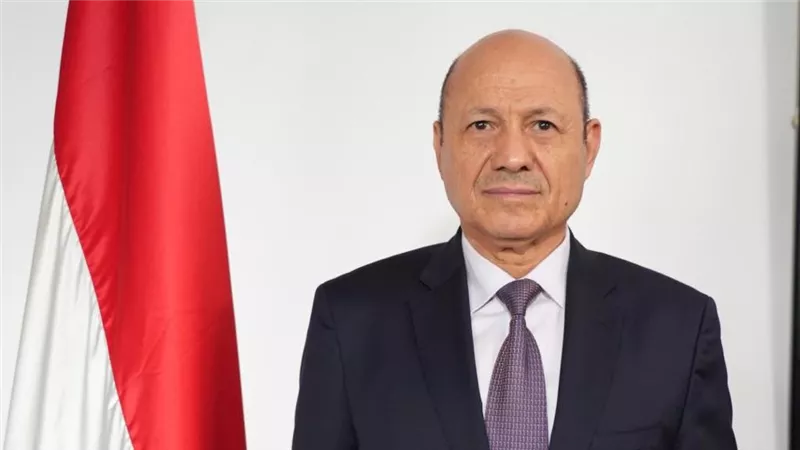 العليمي: القمة العربية الطارئة تعكس وحدة الصف العربي لمواجهة التحديات