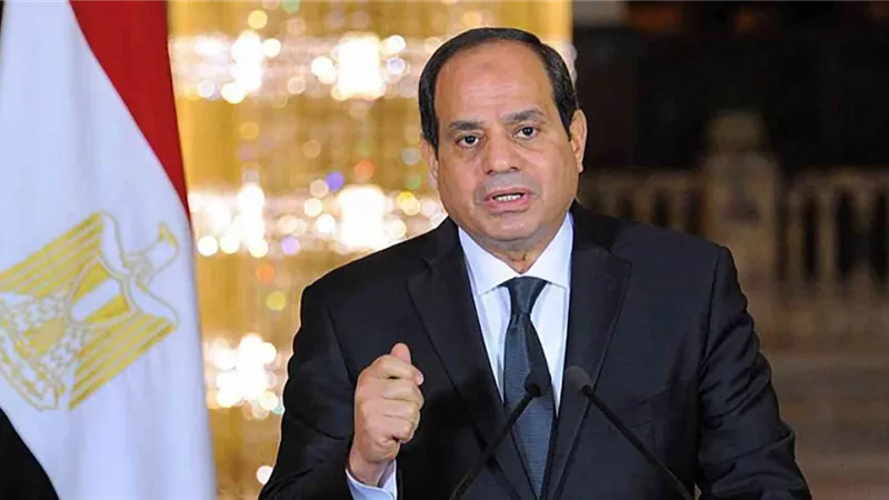 الرئيس السيسي يشيد بدور الشعب المصري وتماسكه وقوة مؤسسات الدولة| فيديو