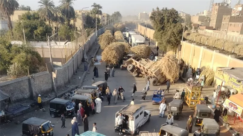 مصدر بمصنع سكر نجع حمادي ينفي سقوط عربات القصب في خط النقل الخاص به