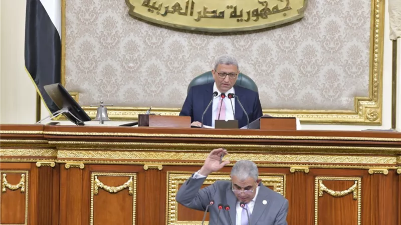 مجلس النواب يقر نسبة مكافأة العاملين بعد سن الـ 60 