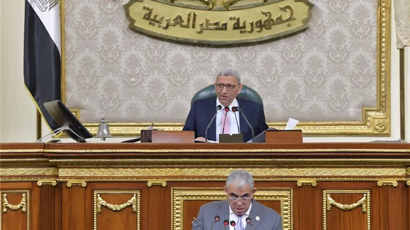 بعد الانتهاء من 261 مادة.. النواب يرفع الجلسة العامة ويعود للانعقاد 23 مارس