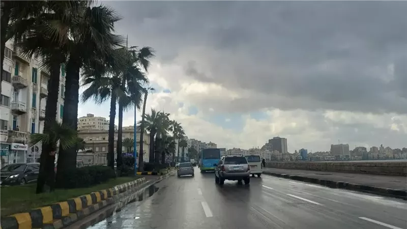 منار غانم: هيئة الأرصاد رفعت درجة الاستعداد القصوى استعدادًا للتقلبات الجوية