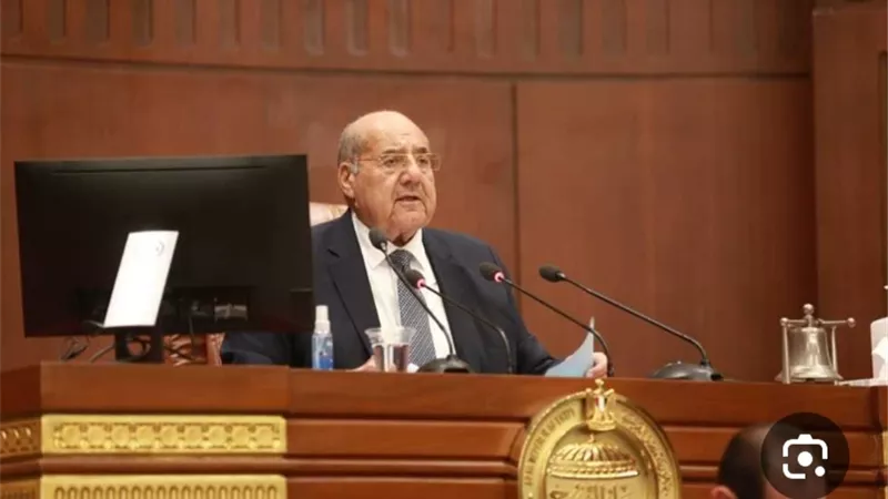 رئيس مجلس الشيوخ: الإقبال على الانتخابات  حتى الآن مبشر جدا|فيديو