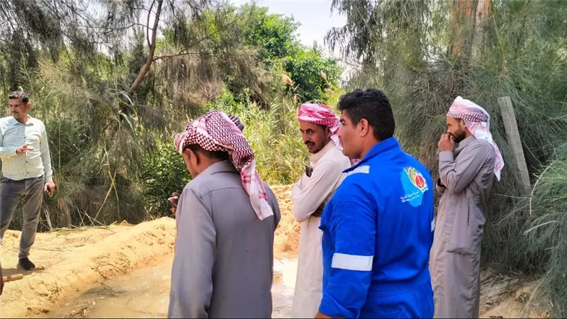 «مياه القناة»: استخراج جذور الأشجار من شبكات قرية ميت ابو الكوم