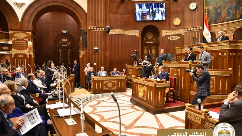 محمود فوزي يحضر جلسة مجلس الشيوخ بشأن مشروع قانون خطة التنمية الاقتصادية