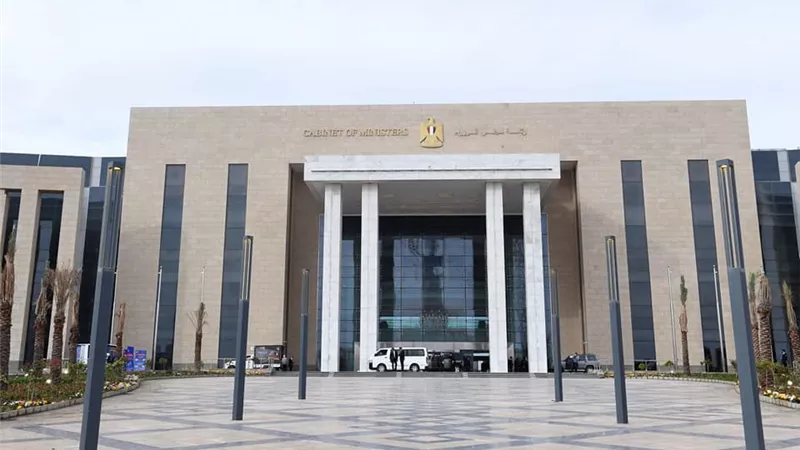 الحكومة تنفي وجود متحورات أو فيروسات وبائية منتشرة بين الدواجن