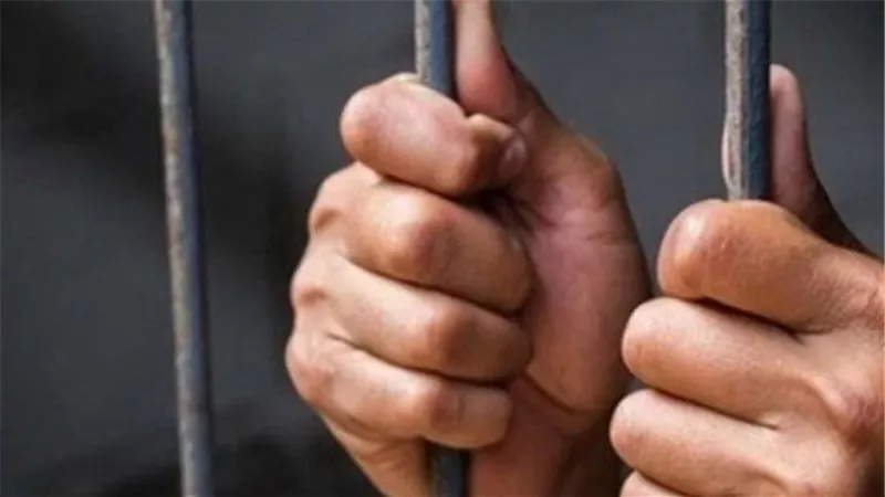 سجن حتى 5 سنوات.. القانون يعاقب على نشر الفيديوهات الكاذبة|فيديو