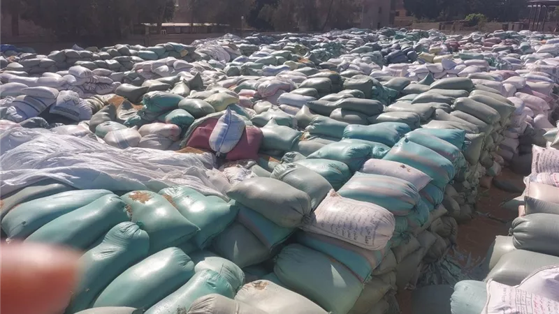 محافظ أسيوط : توريد 132 ألف طن قمح محلي لـ 28 موقع تخزين 
