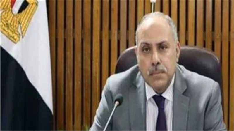 خبير سياسي: تحرك الرئيس السيسي يعزز ثقة المواطنين في الانتخابات البرلمانية