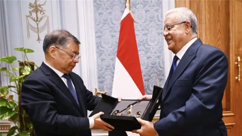 جبالي يبحث تعزيز التعاون مع عضو المكتب السياسي للحزب الشيوعي الصيني