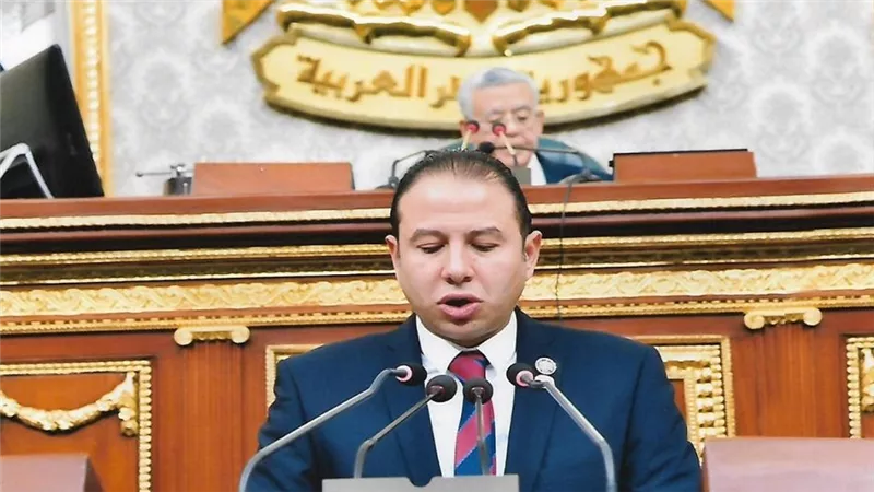 برلماني: التوجيهات الرئاسية لضبط الأسواق تحمي المواطن من الغلاء ومستغلي الأزما