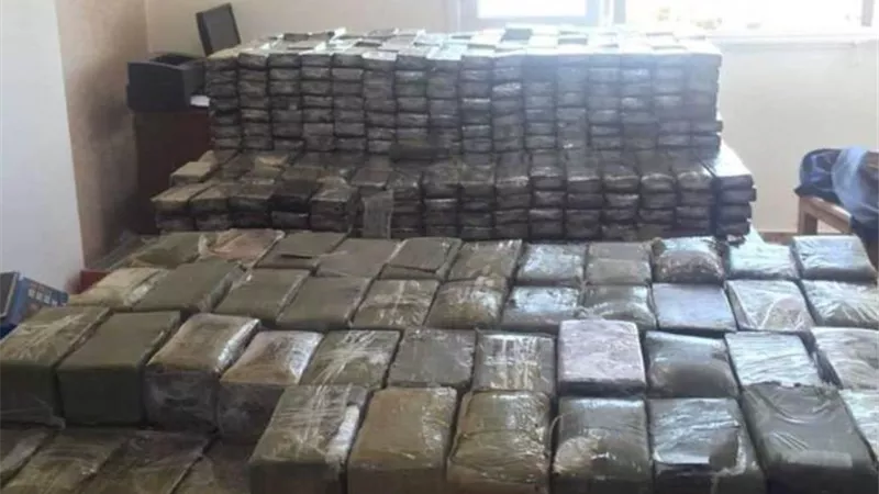 ضربة قاضية لـ «سوق الكيف».. الداخلية تضبط 300 كيلو مخدرات 
