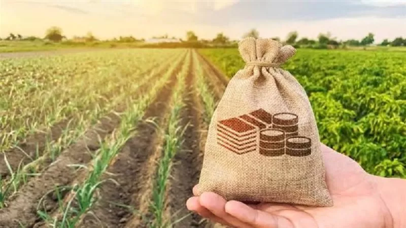 علاء فاروق: السلفة الزراعية بفائدة 5%.. وطفرة في صادرات 2025