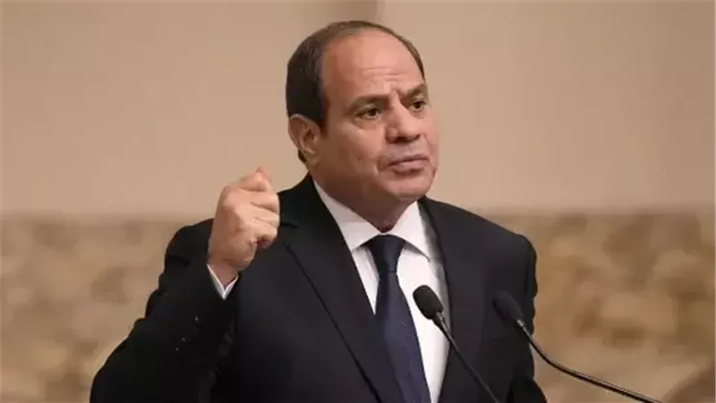 الرئيس السيسي يوجه بدراسة توسيع نطاق المستفيدين من مبادرة الرواد الرقميون