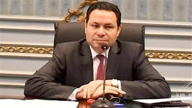 هشام الحصري: أجلنا الإجراءات الجنائية لـ 2027 عشان نحافظ على حقوق المواطنين