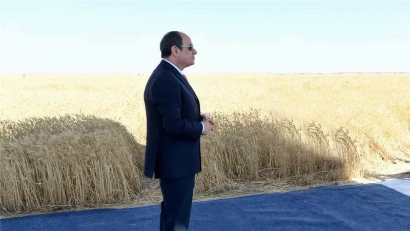 نقيب الفلاحين: حضور الرئيس السيسي لموسم حصاد القمح دعمًا قويًا للفلاحين|فيديو