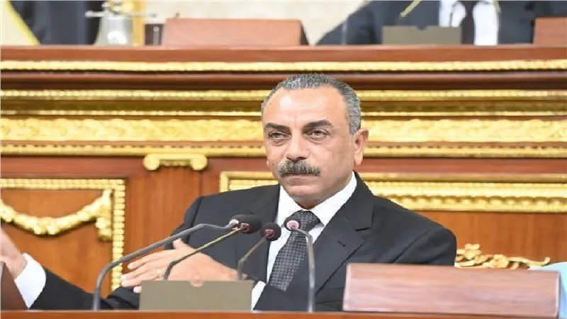أول تعليق من الطماوي على اختياره ضمن مجلس حقوق الإنسان/ خاص