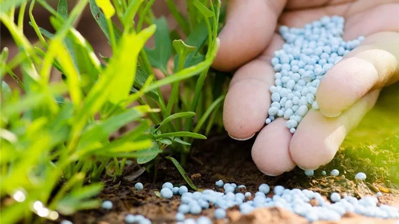 غضب الفلاحين يتصاعد.. نقص الأسمدة يهدد المحاصيل الاستراتيجية والبرلمان يتدخل