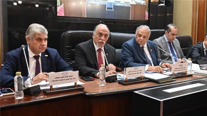 تشريعية النواب:نستهدف تحقيق التمثيل العادل للناخبين بتعديلات قوانين الانتخابات