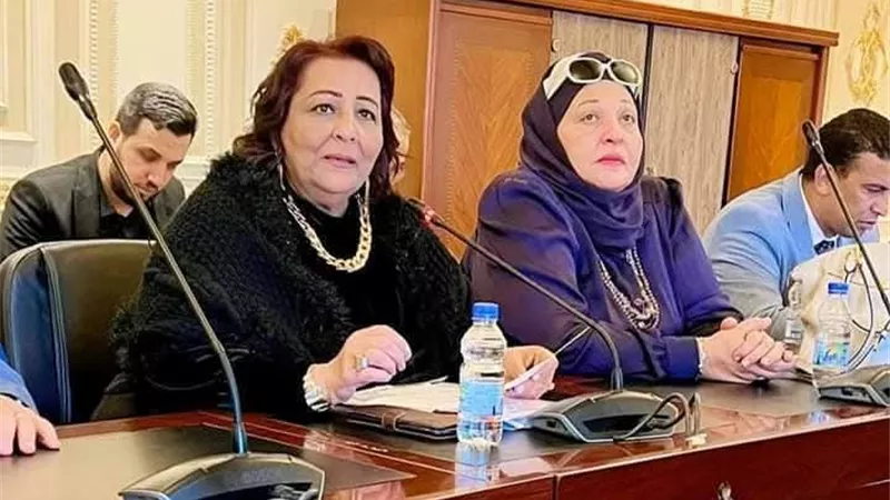 طلب إحاطة لوزراء الكهرباء والري لحل مشكلة ضعف التيار بالواسطى 