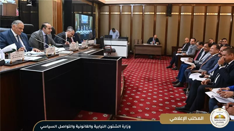 بحضور محمود فوزي.. القصبي يستعرض مشروعات القوانين أمام 