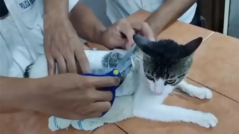 بتهمة 