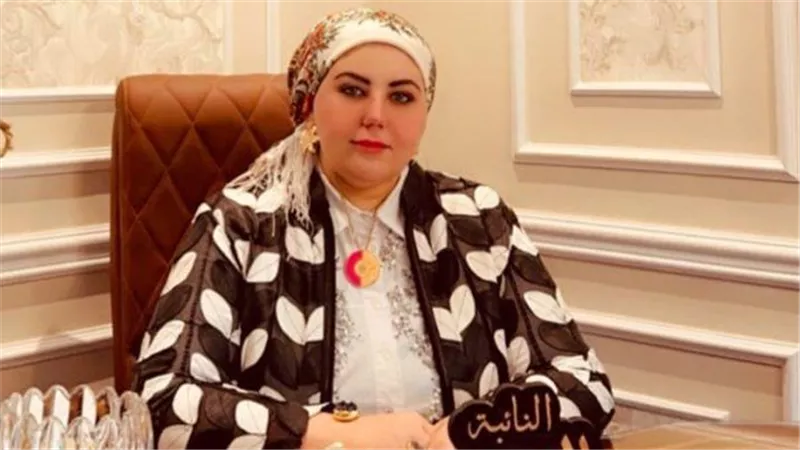 أحزاب ونواب : مدينة مستقبل مصر الصناعية خطوة استراتيجية لتوطين التكنولوجيا 
