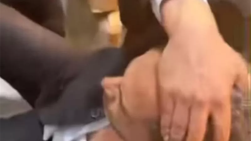 محامين الغربية ترفض الصلح في واقعة الاعتداء على محام داخل بيوتي سنتر بالمحلة