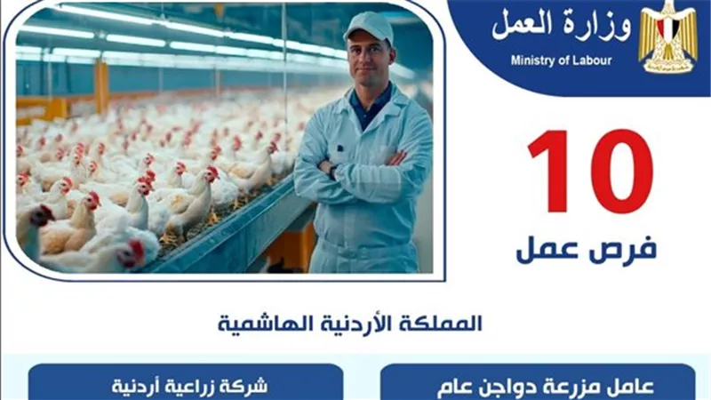 وزارة العمل: فرص عمل في الأردن لعمال مصريين في مجال تربية الطيور